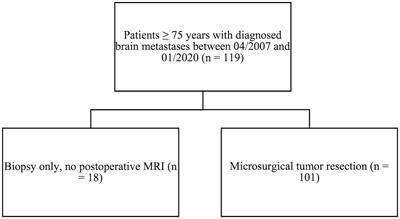 Brain metastases in the elderly – Impact of residual tumor volume on overall survival